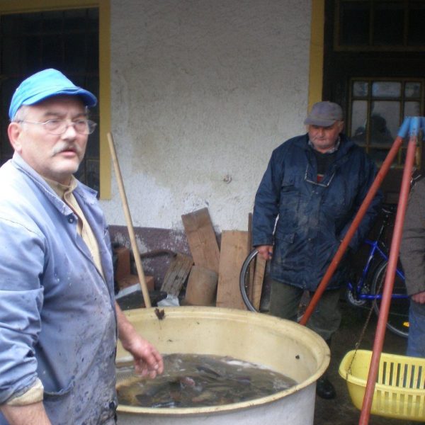 Posvícenský výlov 2010