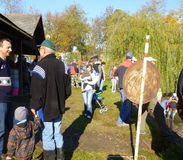 Posvícenský výlov 2012