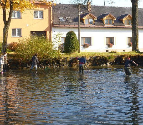 Posvícenský výlov 2012