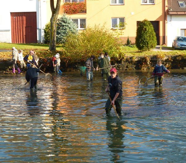 Posvícenský výlov 2012