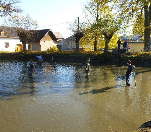 Posvícenský výlov 2012