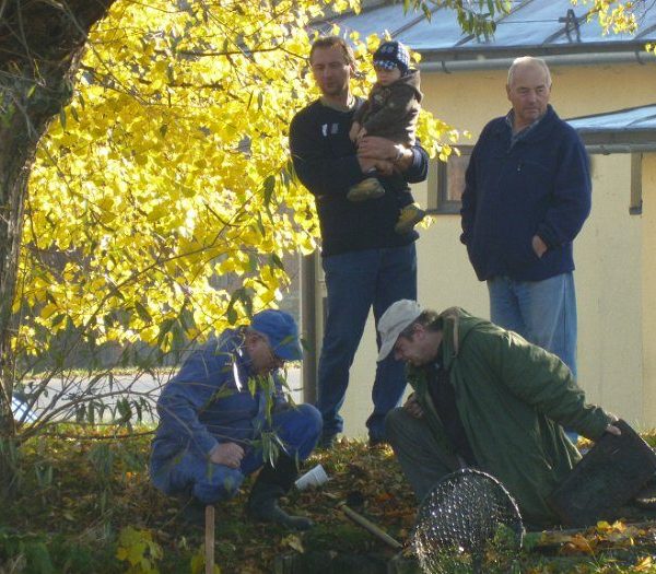 Posvícenský výlov 2012