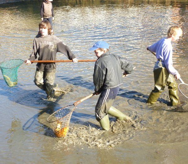 Posvícenský výlov 2012