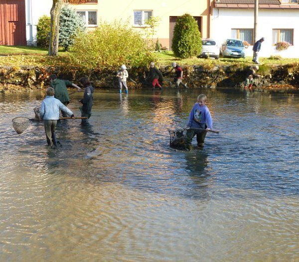 Posvícenský výlov 2012