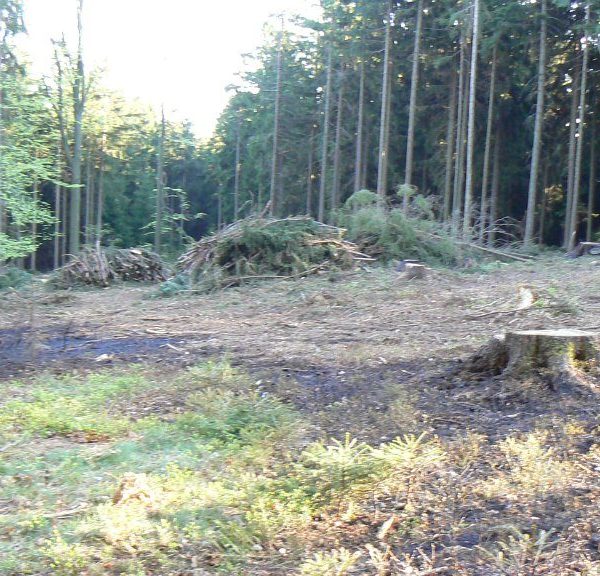 Požár lesa 28. 4. 2012