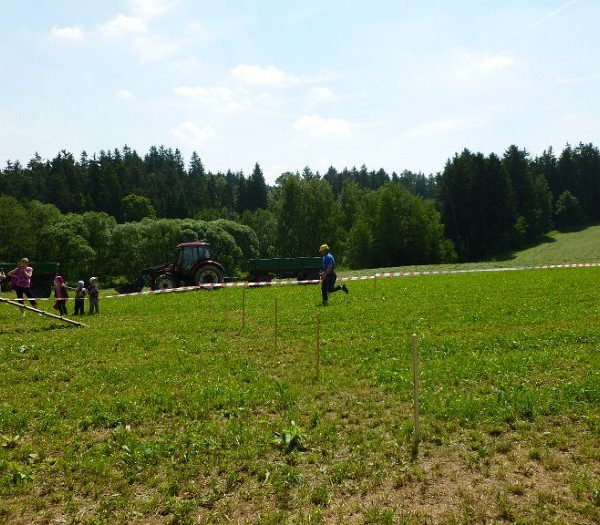 Soutěž Nížkov 2013