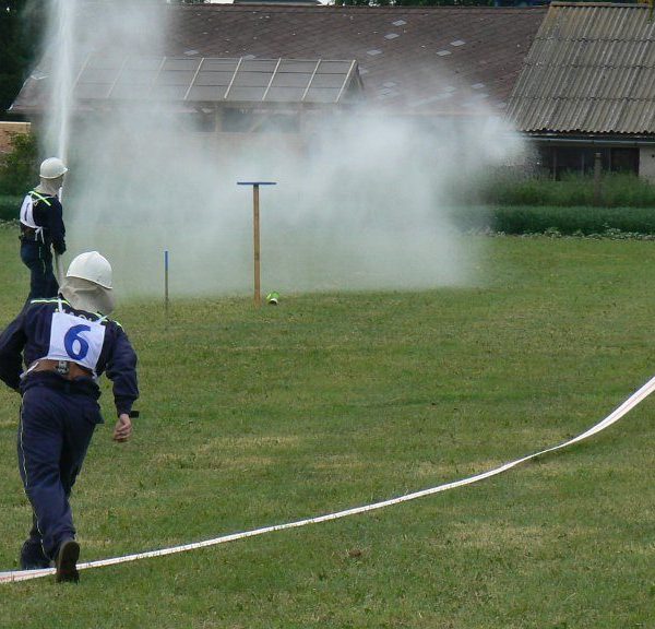 Soutěž Velká Losenice 2011