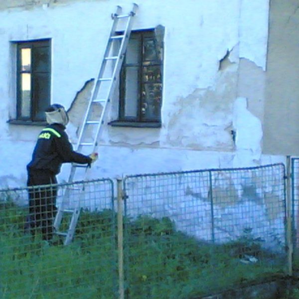 Odstranění bodavého hmyzu