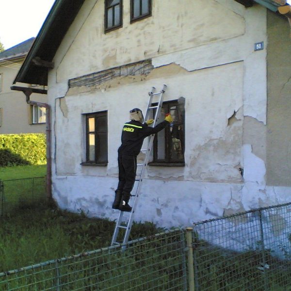 Odstranění bodavého hmyzu