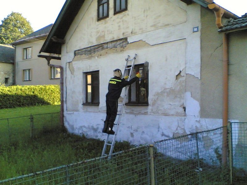 Odstranění bodavého hmyzu