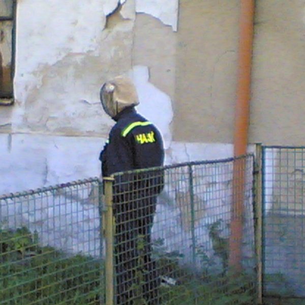 Odstranění bodavého hmyzu